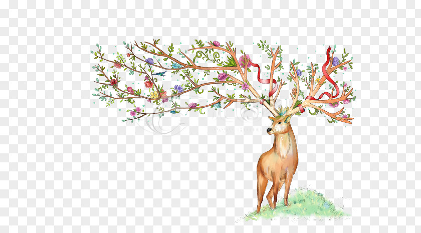 Deer Watercolor Painting PNG