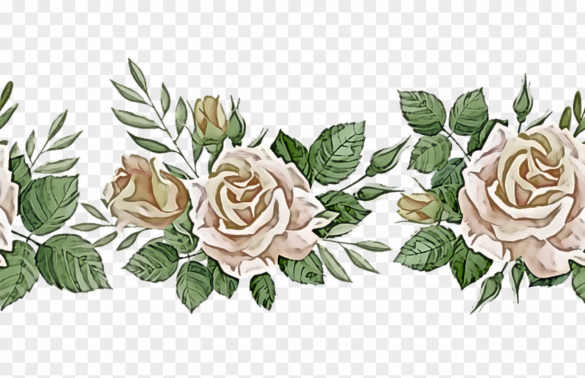 Floral Design PNG