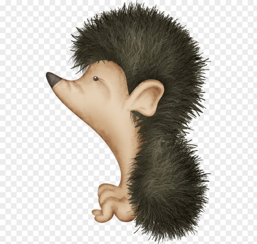 Hedgehog Download Clip Art PNG