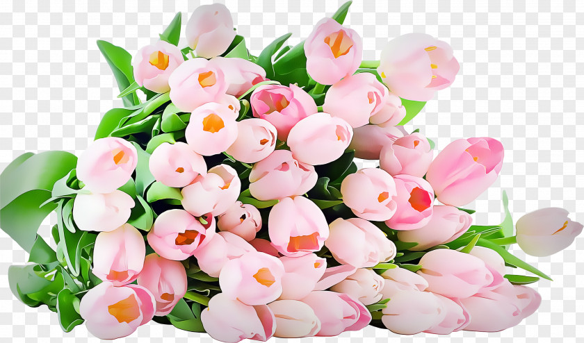 Impatiens Tulip Artificial Flower PNG