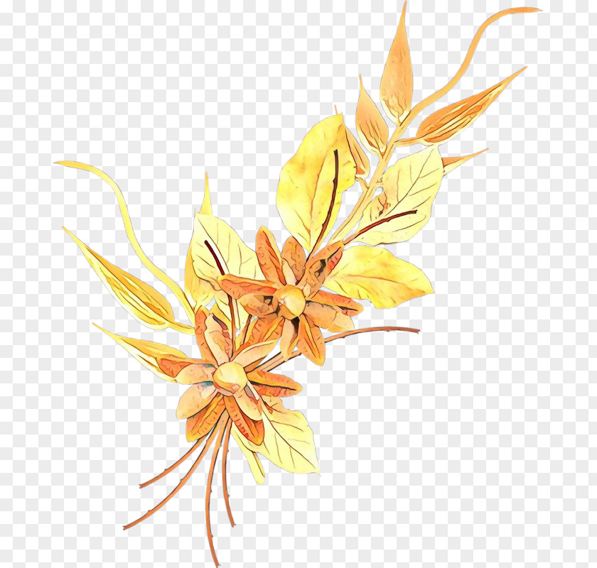 Leaf Plant Yellow Flower PNG