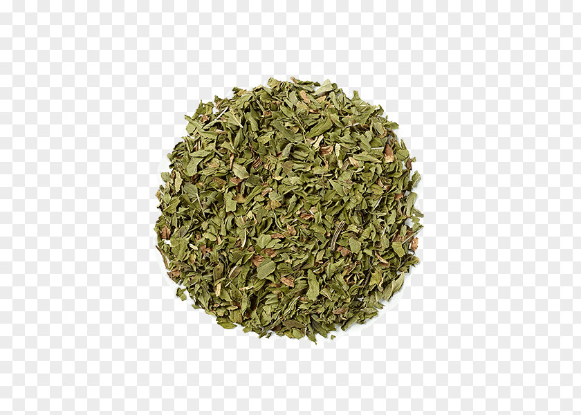 Mint Leaf White Tea Apple Masala Chai Longjing PNG