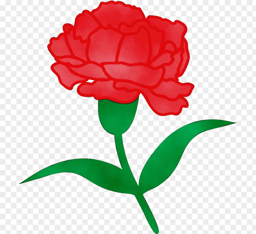 Rose PNG