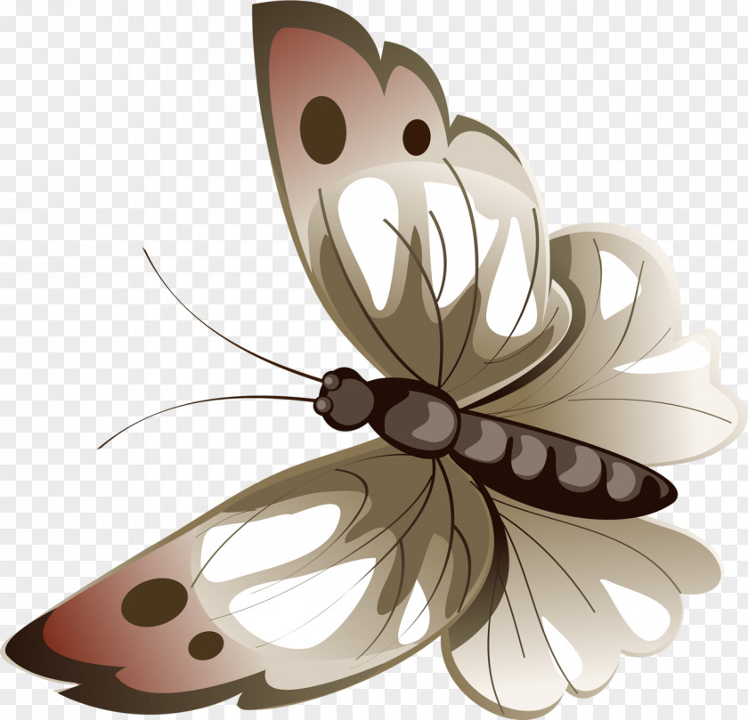 Butterfly Watercolor Luna Moth Drawing Clip Art PNG