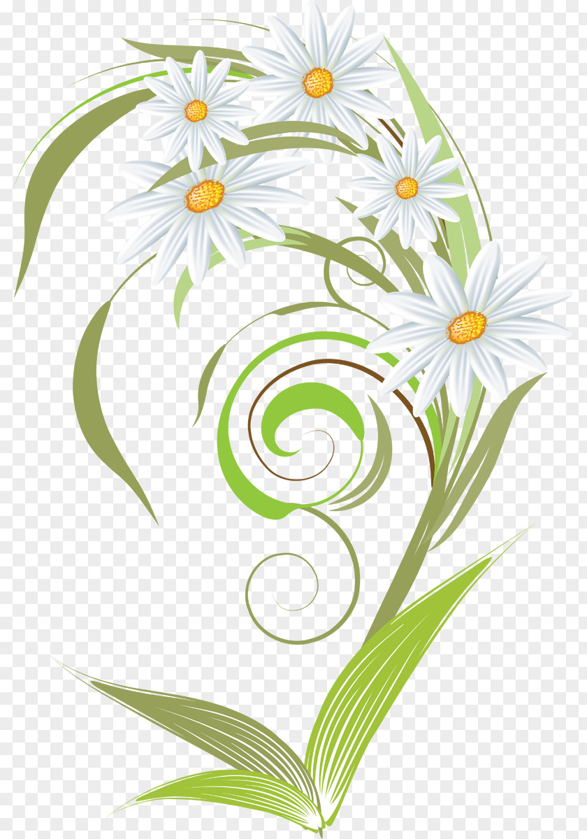 Camomile Art Chamomile Clip PNG