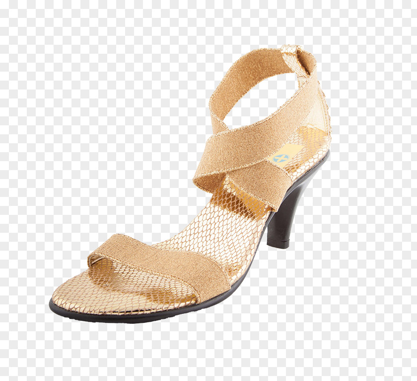 Company Walking Shoes For Women Dress Sandal Shoe Fashion Stiletto Heel PNG