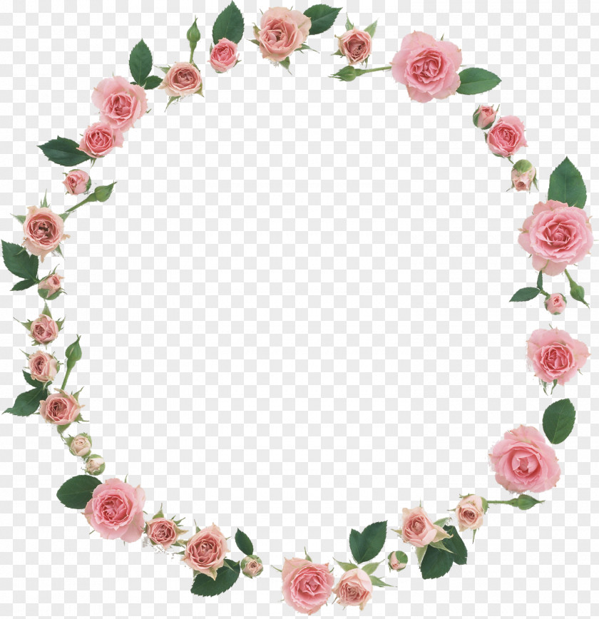 Floral Frame Picture Frames YouTube Flower Anakin Skywalker Luke PNG