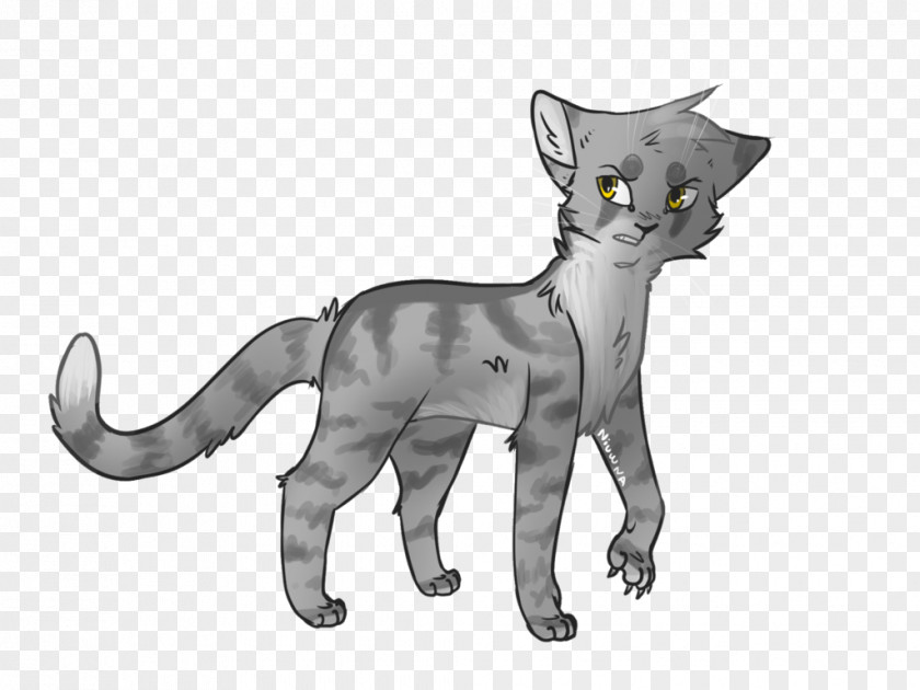 Kitten Whiskers Domestic Short-haired Cat Warriors PNG