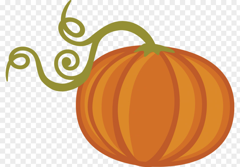 Pumpkin Calabaza Cucurbita PNG