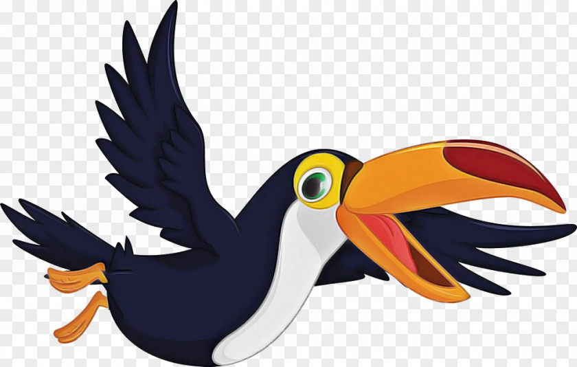 Toucan Bird Beak Cartoon Piciformes PNG