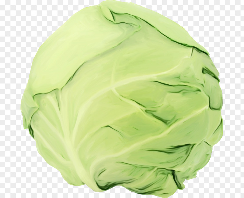 Wild Cabbage Green Background PNG