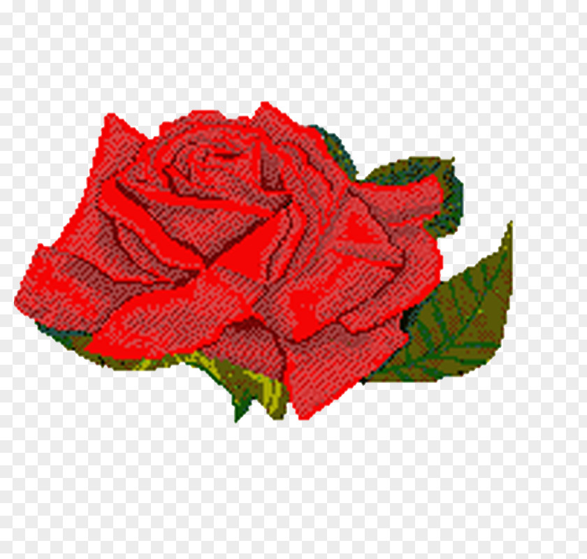 Rose Animation Flower PNG