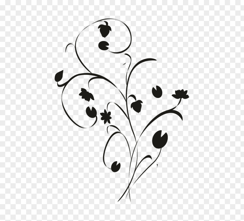 Tree Twig Phonograph Record Drawing Clip Art PNG