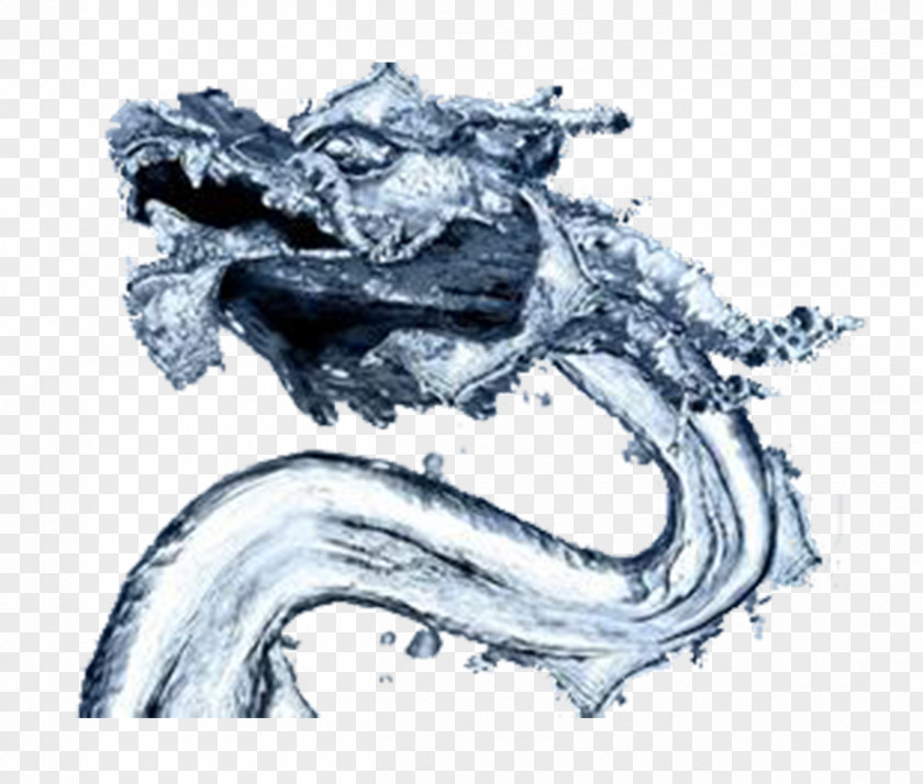 Chinese Water Dragon High-definition Television Wallpaper PNG
