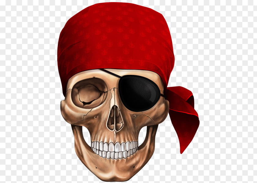 Skull Human Symbolism Piracy Drawing Skeleton PNG