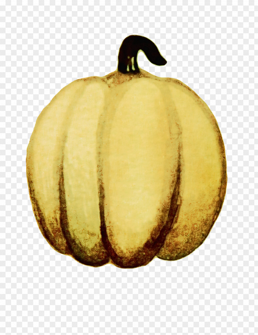 Vegetable Food Pumpkin PNG