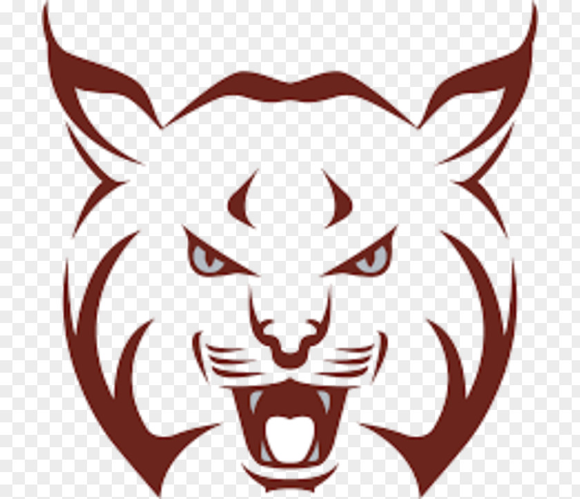 Bobcat Logo Vector Beaver Area High School Whiskers Brighton Township Clip Art PNG