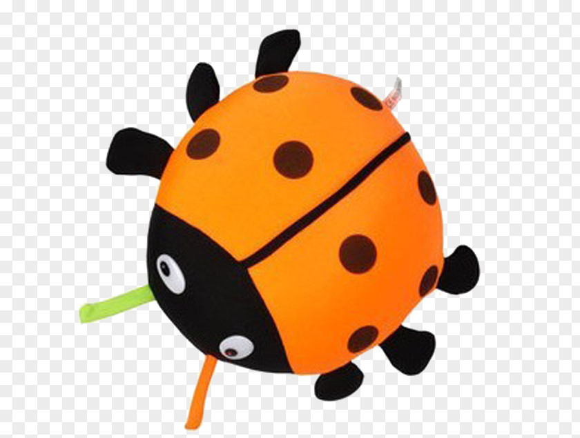 Ladybug Ladybird Beetle Bamboo Charcoal Activated Carbon Clip Art PNG