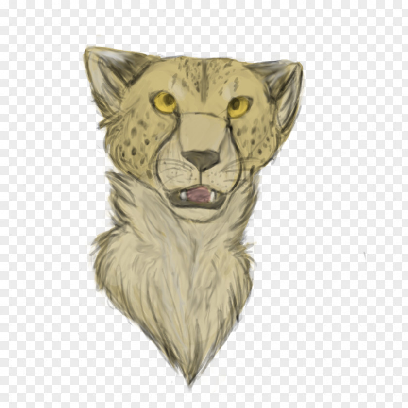 Lion Whiskers Cat Drawing Puma PNG