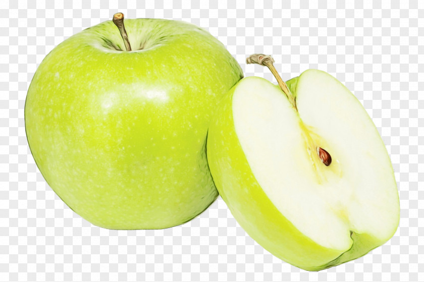 Natural Food Granny Smith Plant Fruit Biology PNG