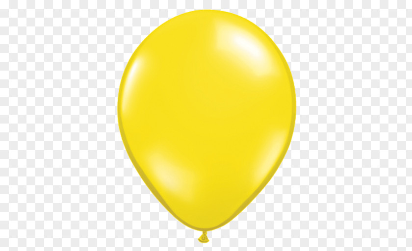 Party Toy Balloon Globoflexia Birthday Color PNG