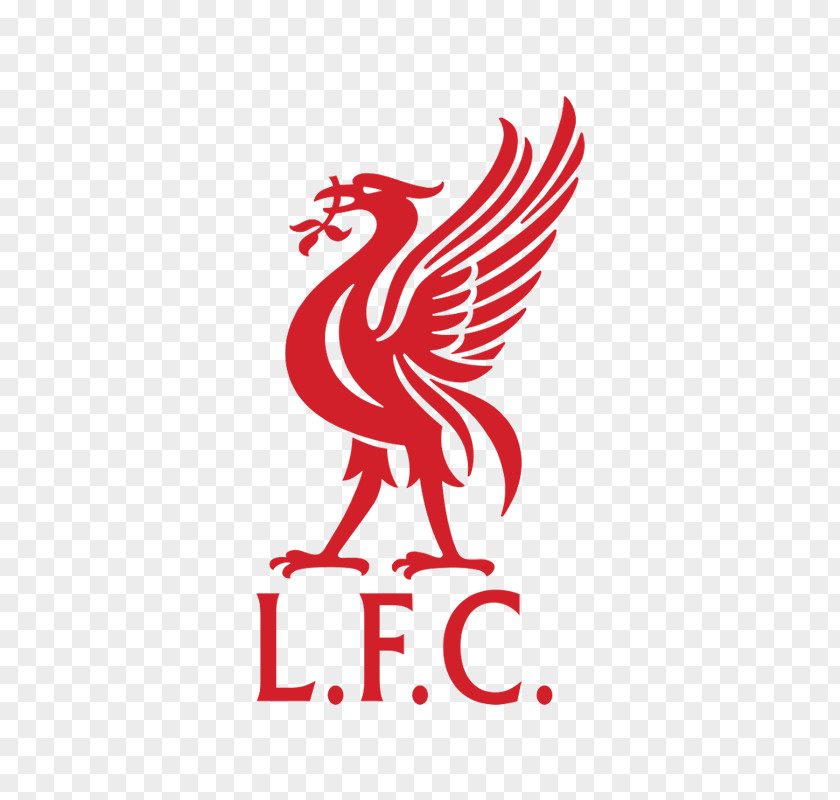 Premier League Liverpool F.C. L.F.C. Brazil National Football Team PNG