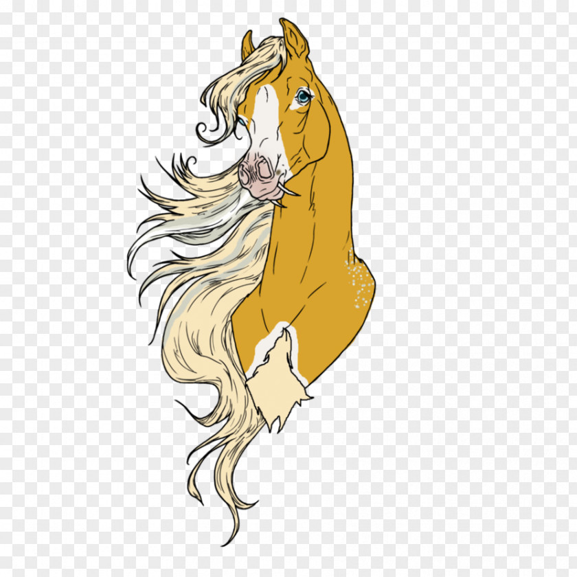 Pure Cotton Stallion Mustang Arabian Horse Art PNG