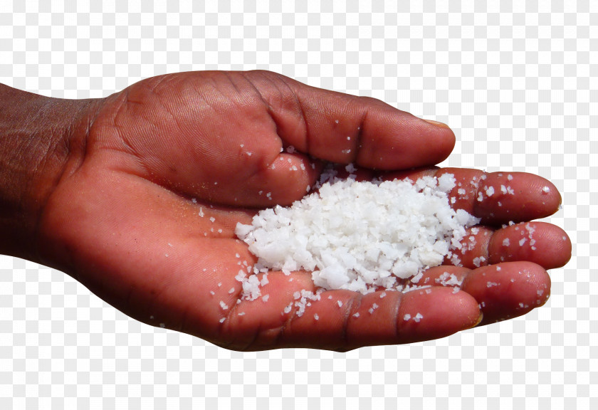 Salt Health PNG