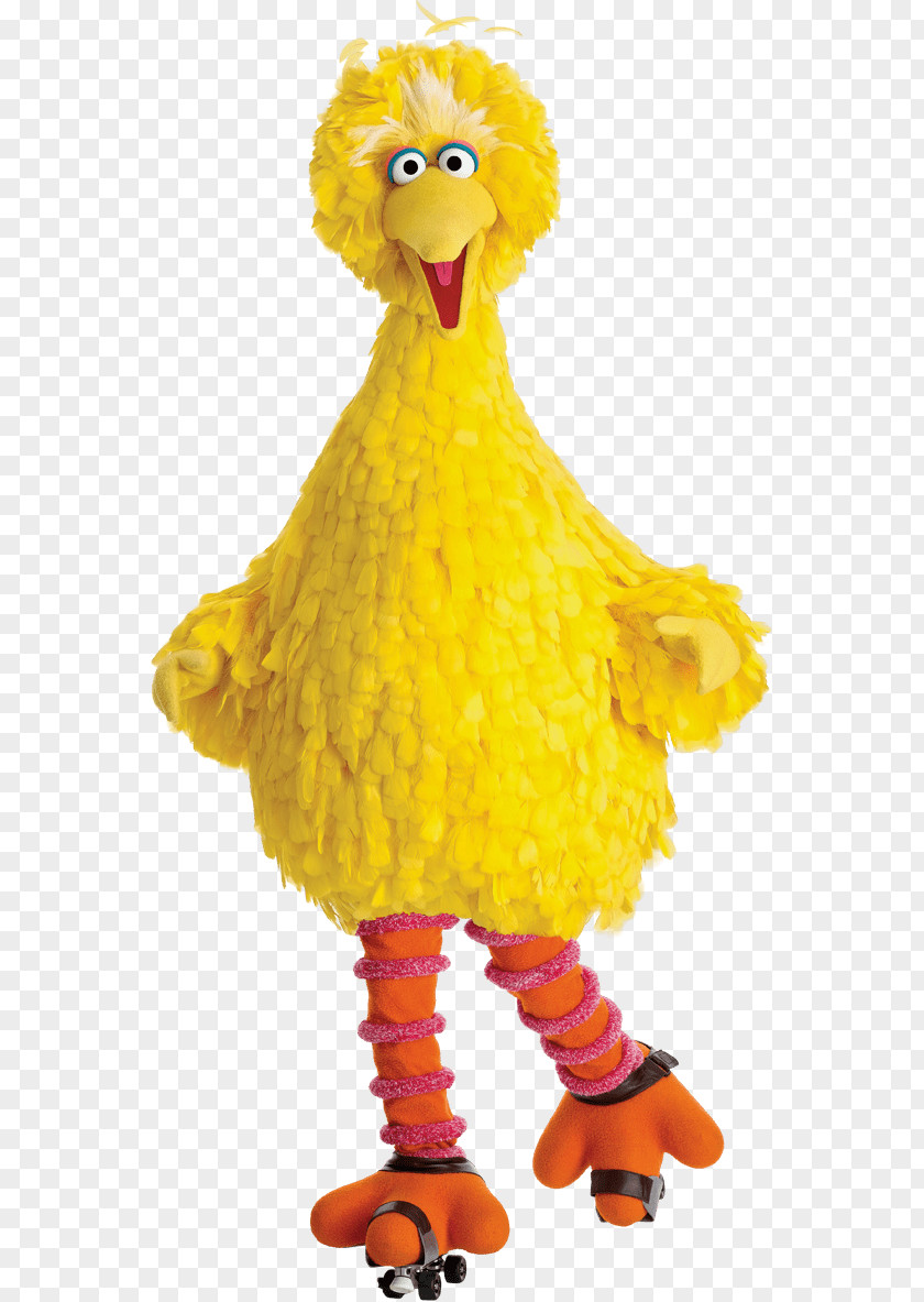 Sesame Big Bird Abby Cadabby Mr. Snuffleupagus Elmo Cookie Monster PNG