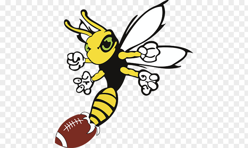 Bee Honey Hornet Wasp Drawing PNG