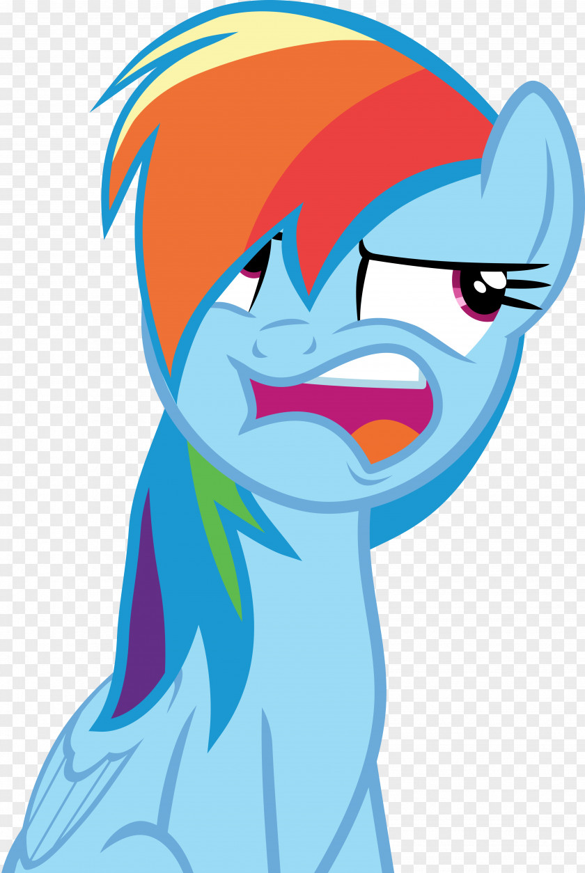 Blue Coat Rainbow Dash Pinkie Pie Pony Twilight Sparkle PNG