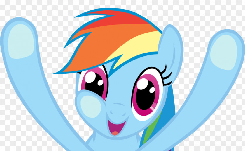 My Little Pony Derpy Hooves Rainbow Dash Pinkie Pie Applejack Rarity PNG