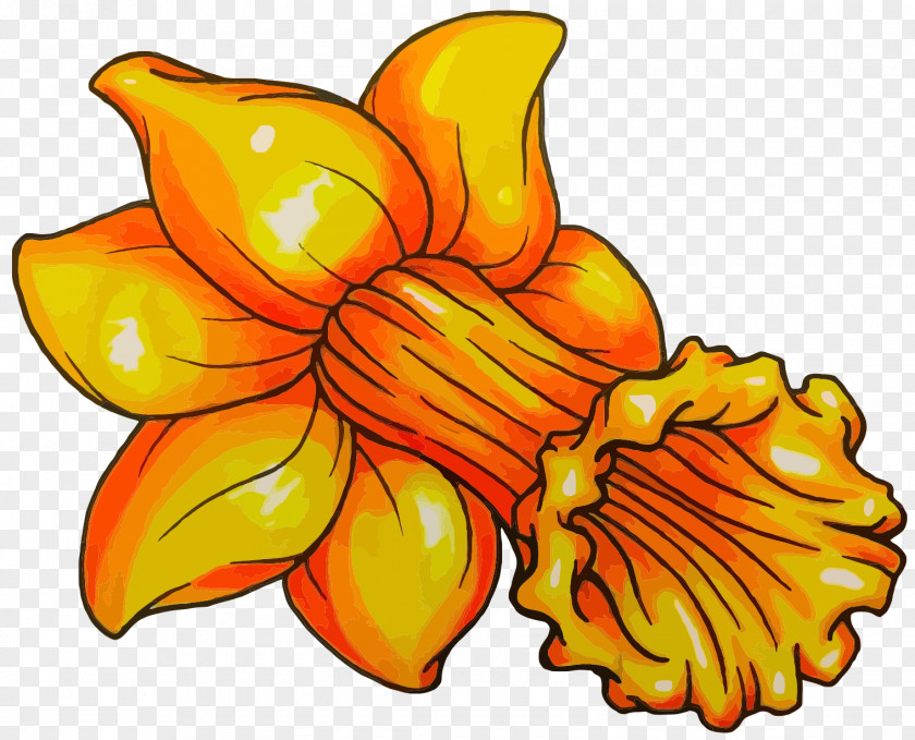 Stem Daffodil Clip Art Image Vector Graphics PNG