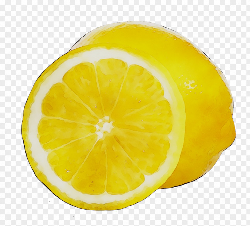 Sweet Lemon Citron Tangelo Lime PNG