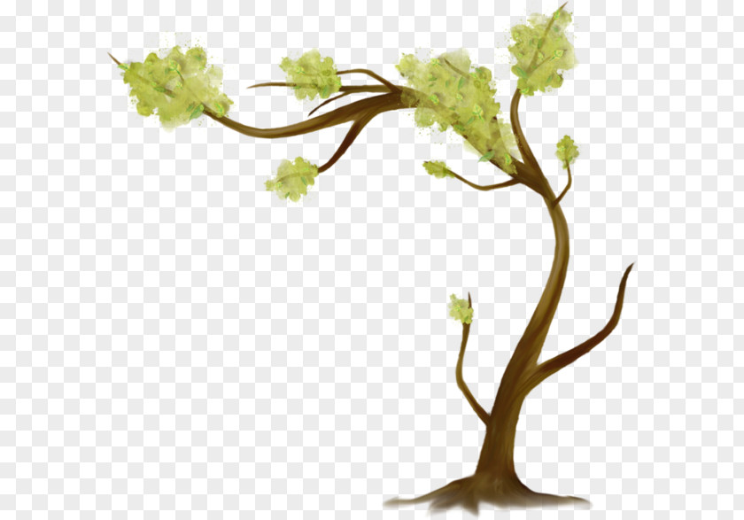 Tree Leaf Branch Clip Art PNG