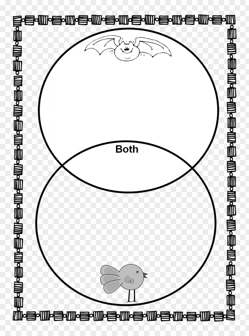 Bat Stellaluna First Grade Teacher Worksheet PNG