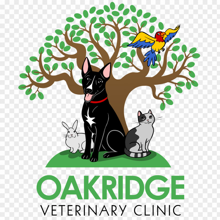 Cat Dog Oakridge Veterinary Clinic ARCHVET Animal Hospital Sunnyvale PNG