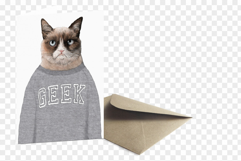 Cat Whiskers Grumpy Toile PNG