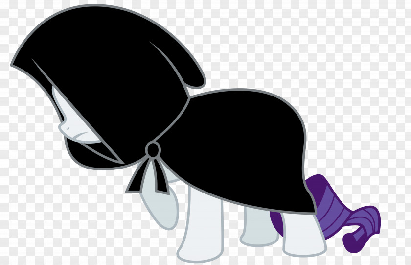 Cloak Rarity Pinkie Pie Twilight Sparkle Rainbow Dash Applejack PNG