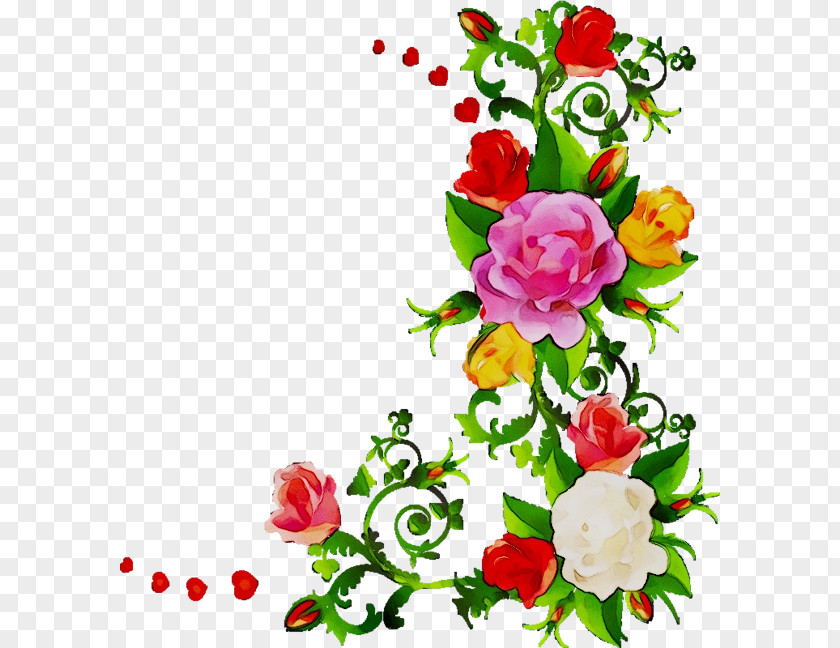 Floral Design Garden Roses Cut Flowers PNG