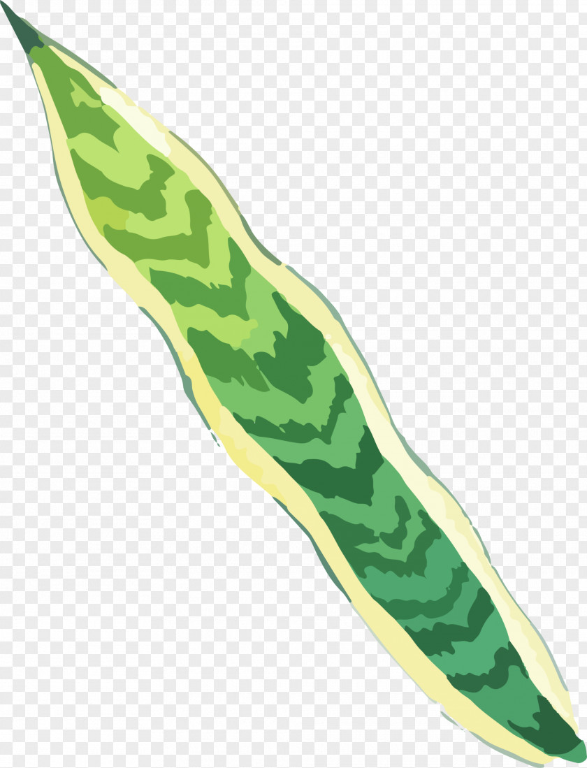 Green Hand Painted Grass PNG