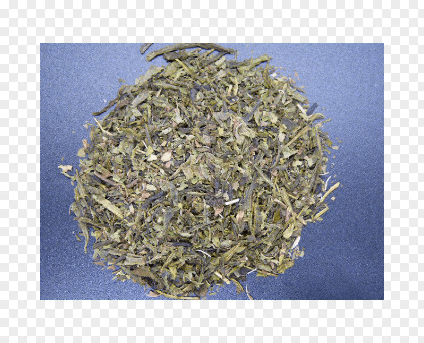 Green Tea Nilgiri Dianhong White PNG
