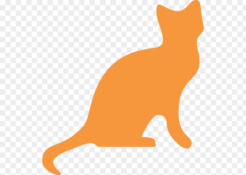 Orange Cat Pictures Havana Brown Kitten Tabby Black Clip Art PNG