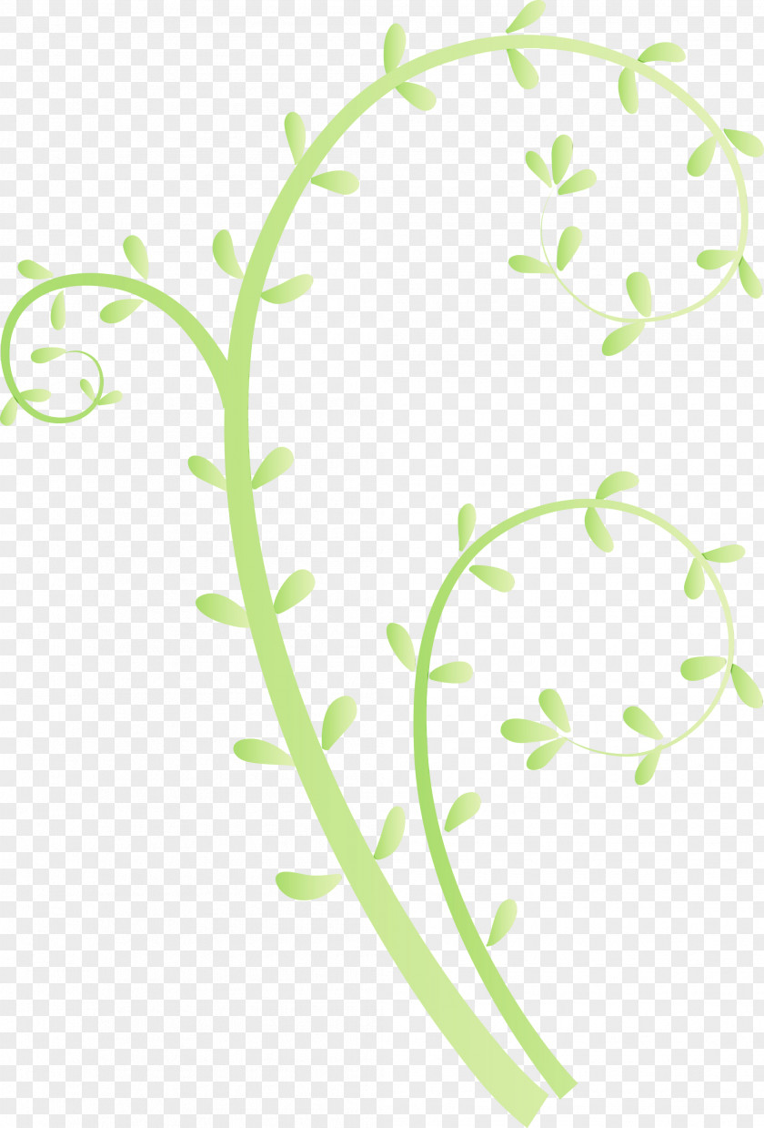 Plant Pedicel Grass Stem Flower PNG