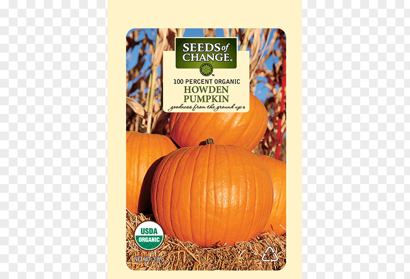 Pumpkin Seeds Winter Squash Organic Certification Food Thanksgiving PNG