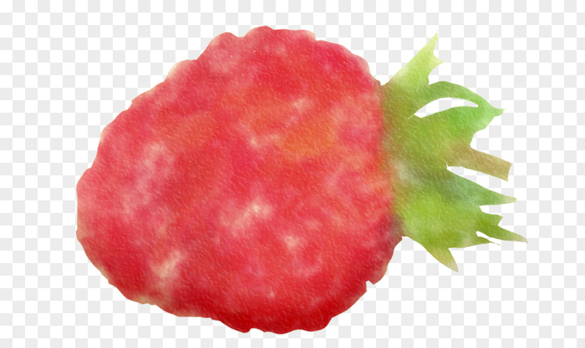 Red Pineapple Strawberry Raspberry Fruit PNG