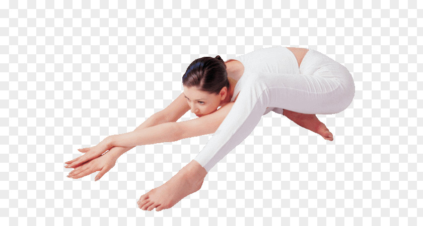 Yoga Weight Loss Asana Physical Exercise PNG
