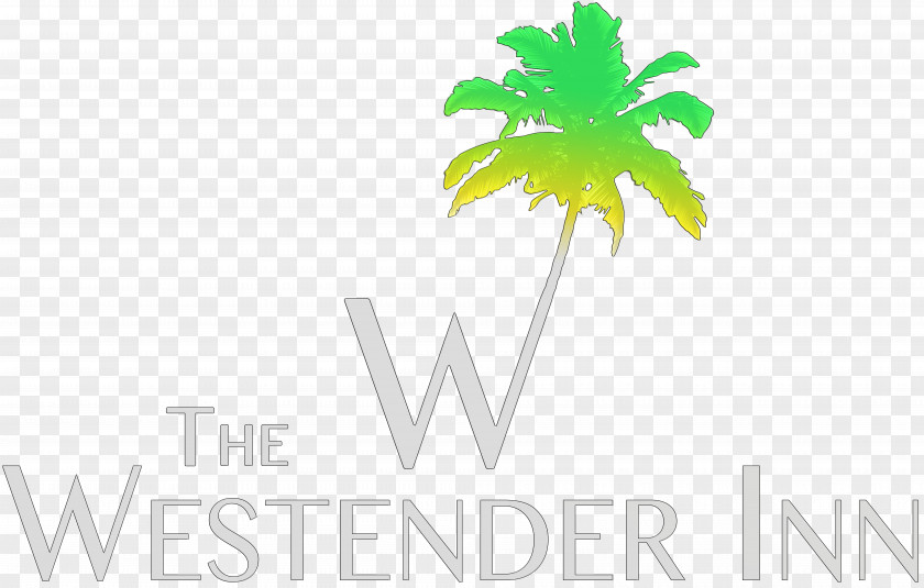 Computer Arecaceae Logo Praia Desktop Wallpaper Brand PNG