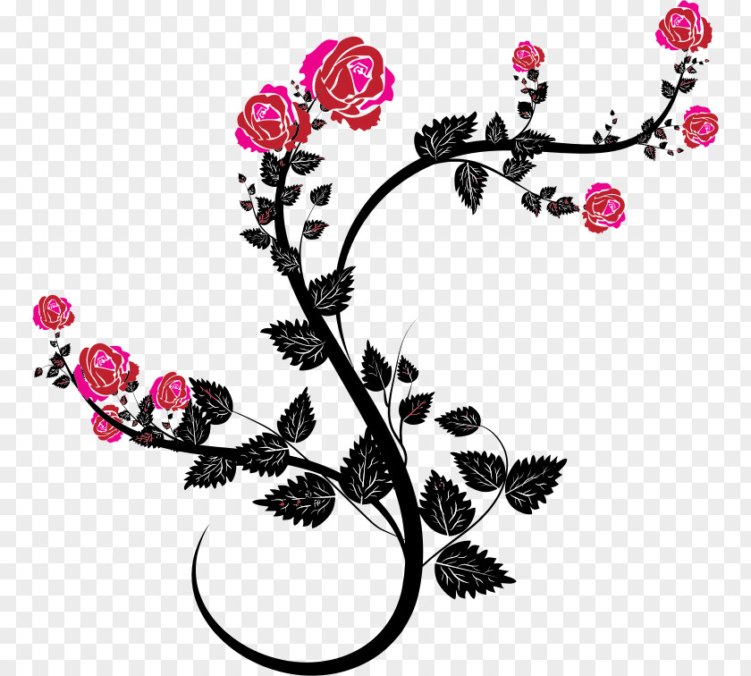 Flourish Rose Drawing Flower Clip Art PNG