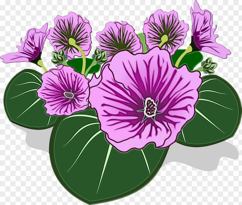 Flower Purple Violet Plant Petal PNG